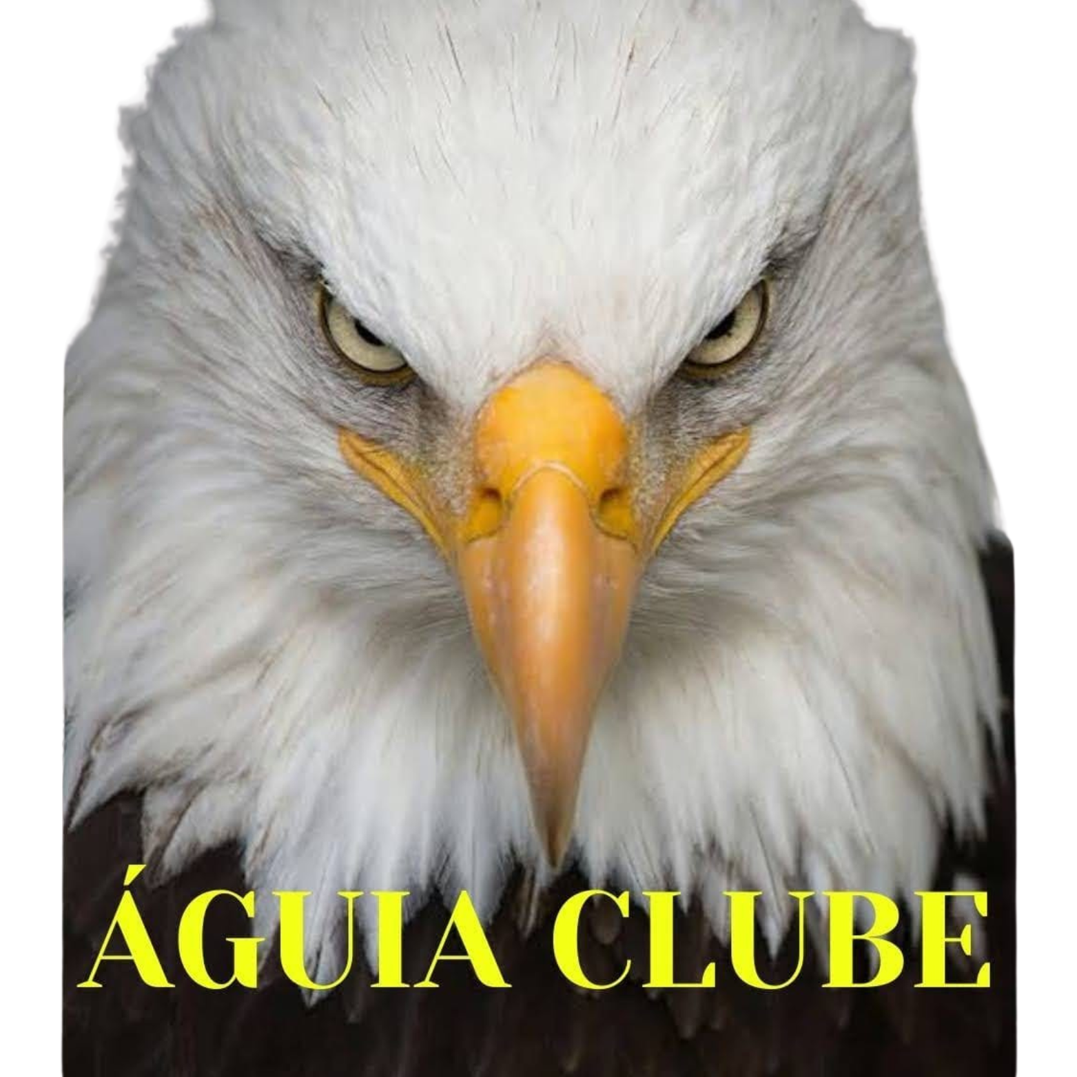 Águia Clube